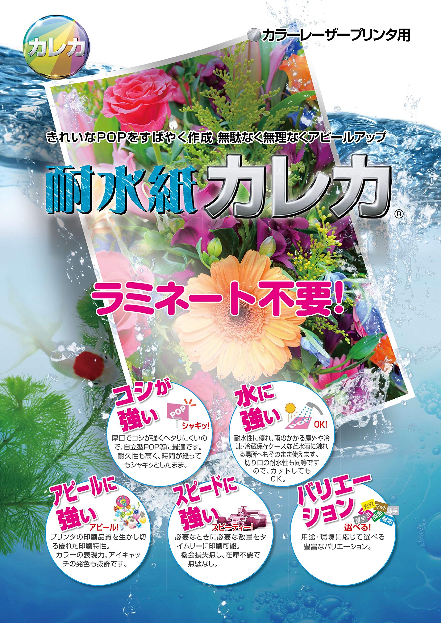 Amazon | [三菱化学 1253443] 耐水紙「カレカ」 光沢厚紙タイプ B4